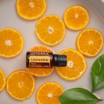 découvrez les bienfaits de la naturopathie, une approche holistique de la santé qui allie médecine naturelle et bien-être. apprenez à prévenir les maladies et à améliorer votre qualité de vie grâce à des méthodes naturelles et personnalisées.