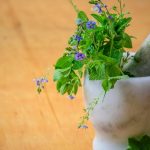 découvrez la naturopathie, une approche de santé holistique qui utilise des méthodes naturelles pour favoriser le bien-être. apprenez à équilibrer votre corps et votre esprit grâce à des conseils personnalisés en nutrition, phytothérapie et techniques de relaxation.