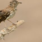 découvrez les approches naturopathiques, des méthodes naturelles et holistiques pour améliorer votre santé. faites le plein de conseils sur les remèdes à base de plantes, la nutrition et les techniques de bien-être pour un mode de vie équilibré.