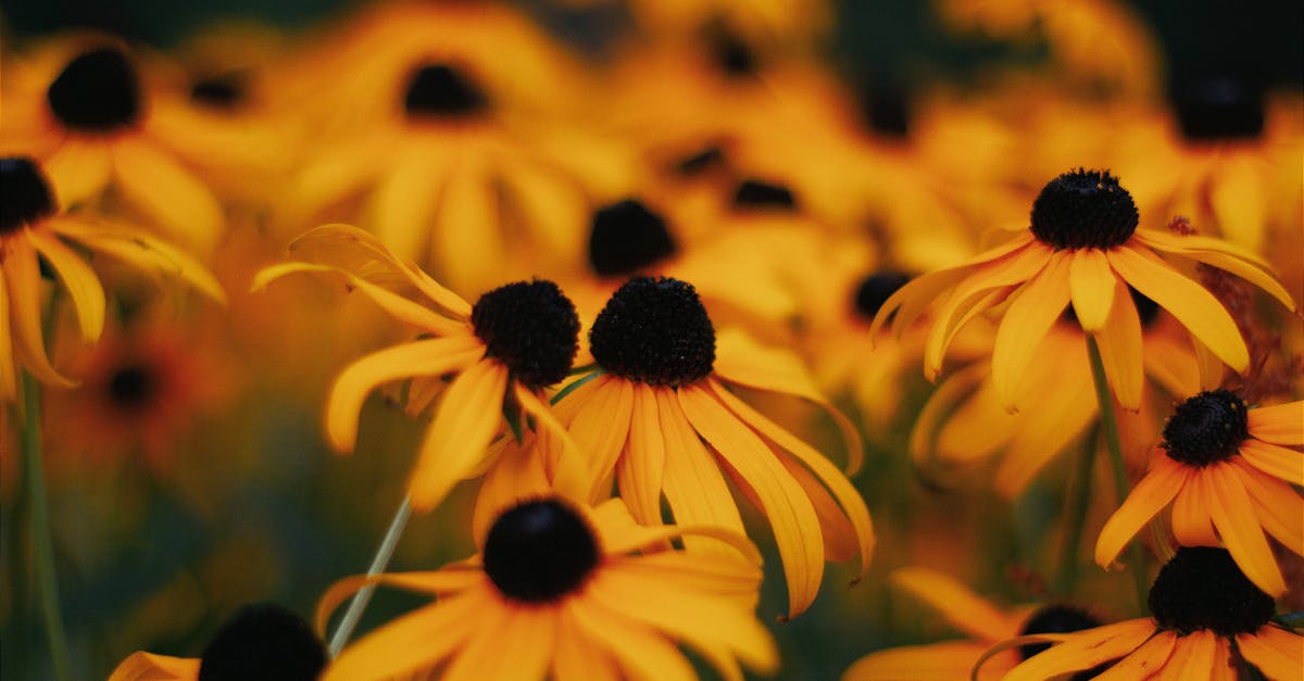 découvrez les bienfaits de la naturopathie pour votre santé et votre bien-être. apprenez à mieux vivre grâce à des solutions naturelles, des conseils personnalisés et des approches holistiques adaptées à vos besoins.