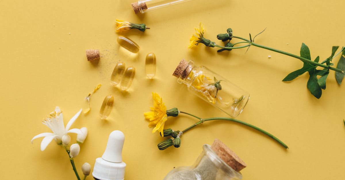 découvrez la naturopathie, une approche holistique de la santé qui vise à rétablir l'équilibre naturel du corps à travers des méthodes douces et naturelles. explorez les bienfaits de cette médecine alternative alliant nutrition, phytothérapie et techniques de relaxation pour un bien-être durable.
