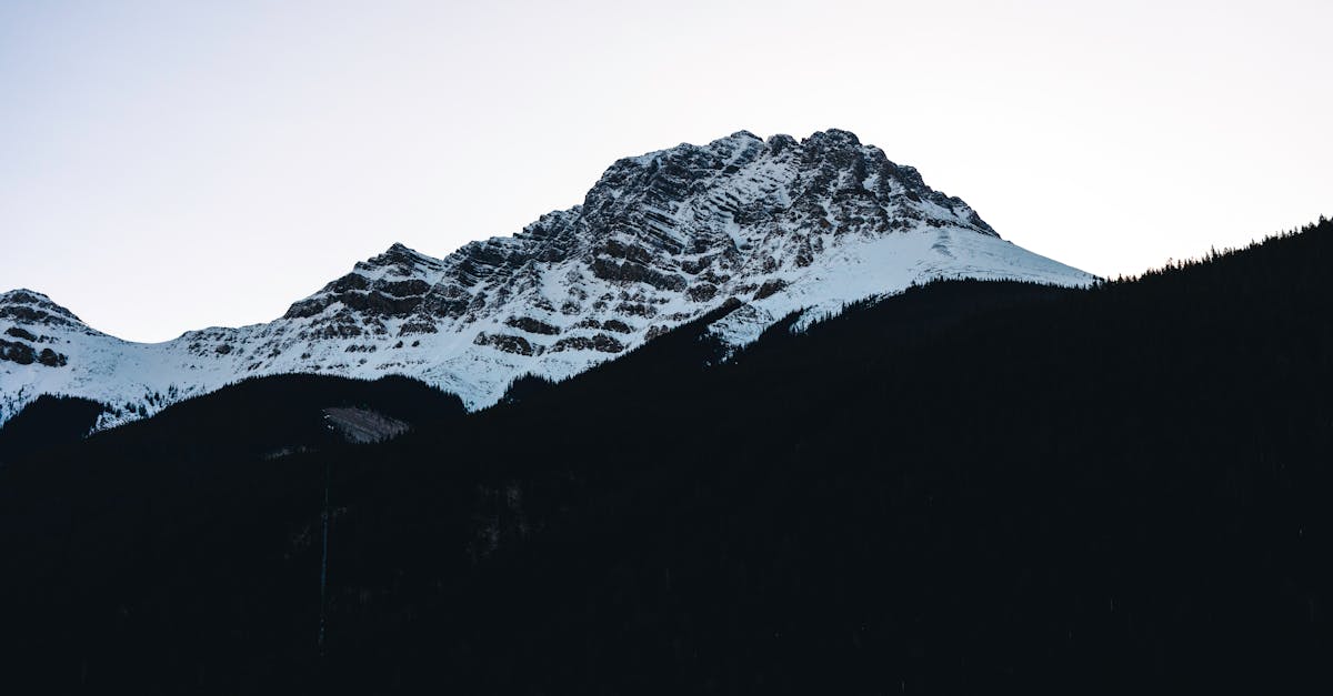 découvrez la décompression neurodiscale, une thérapie innovante visant à soulager la douleur et améliorer la mobilité en réduisant la pression sur les disques intervertébraux. explorez les bienfaits et les techniques de cette méthode pour retrouver votre bien-être.