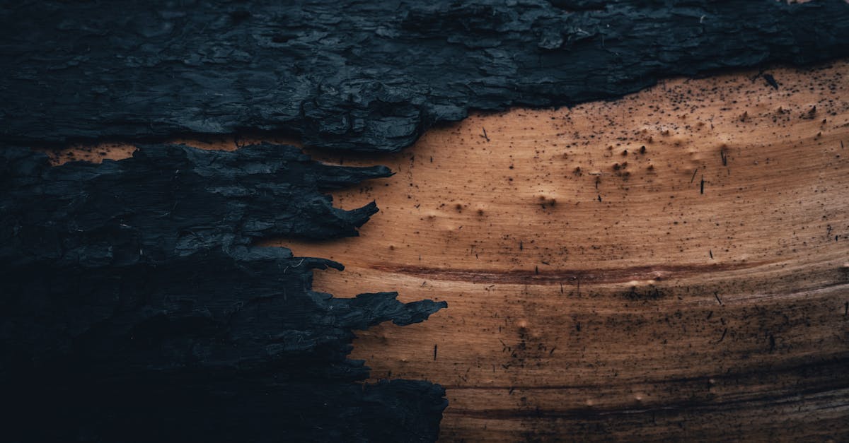 découvrez l'efficacité de l'ostéopathie, une approche holistique qui soulage les douleurs et favorise le bien-être. explorez les bienfaits de cette pratique sur la santé physique et mentale.