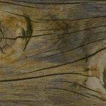 découvrez les approches naturopathiques, une méthode holistique de santé qui privilégie des traitements naturels et préventifs pour favoriser le bien-être et l'équilibre du corps. explorez les bienfaits des plantes, de la nutrition et des techniques de relaxation pour une vie saine.