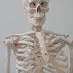 découvrez les manipulations ostéopathiques, une approche douce et efficace pour soulager les douleurs musculaires et articulaires. améliorez votre bien-être grâce à des techniques personnalisées et un accompagnement professionnel en ostéopathie.