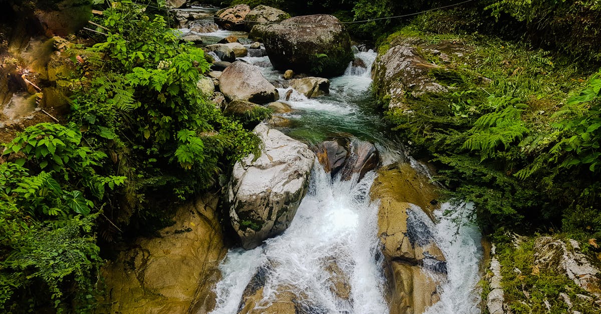 découvrez l'hydrologie, la science qui étudie les eaux de la terre, leur distribution, leur mouvement et leur qualité. explorez les enjeux liés à la gestion des ressources en eau et leur impact sur notre environnement et notre société.
