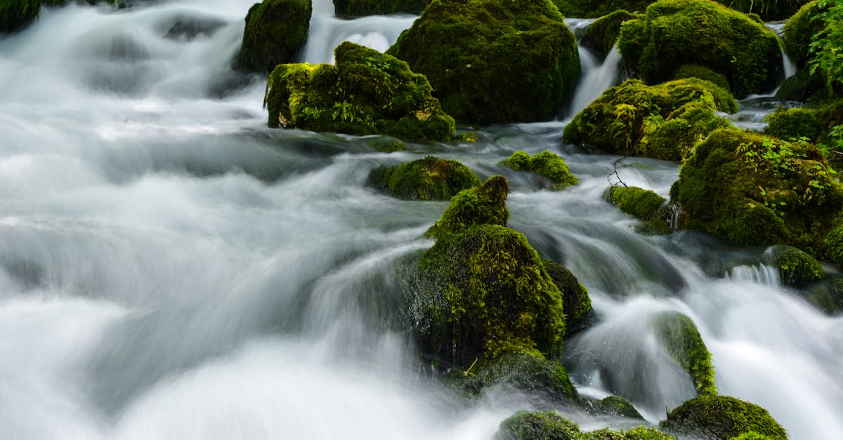 découvrez l'hydrologie, la science qui étudie les eaux de la terre. apprenez comment les processus hydrologiques influencent les écosystèmes, le climat et les ressources en eau. explorez les enjeux liés à la gestion de l'eau et aux changements environnementaux.