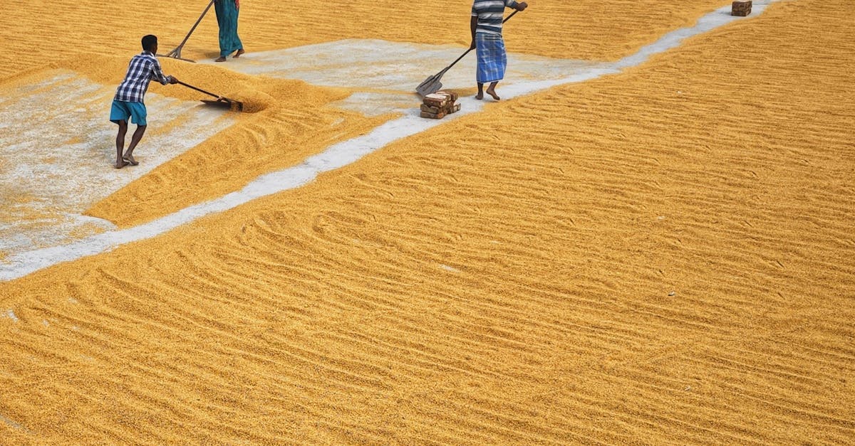 découvrez notre manuel technique complet qui vous guide à travers les étapes essentielles pour maîtriser les techniques clés de votre domaine. apprenez avec clarté et précision grâce à des explications détaillées et des conseils pratiques.