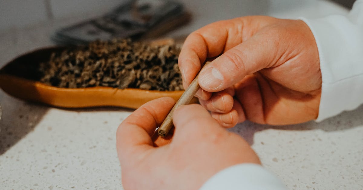 découvrez les thérapies manuelles, des approches naturelles pour soulager la douleur, améliorer la mobilité et favoriser le bien-être. explorez différentes techniques pour une santé optimale.