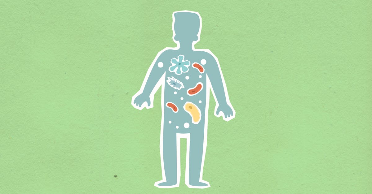 découvrez l'univers fascinant du microbiome, cet ensemble de micro-organismes vivant en symbiose avec notre corps. apprenez comment il influence notre santé, notre digestion et notre bien-être général, et explorez les dernières recherches sur son rôle crucial dans la maladie et la guérison.