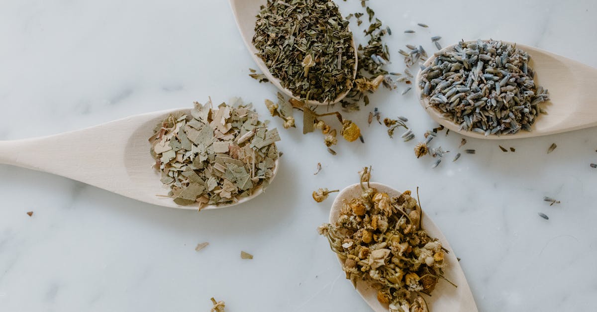 découvrez les bienfaits de la naturopathie : une approche holistique de la santé qui allie remèdes naturels, alimentation équilibrée et techniques de bien-être pour renforcer votre corps et votre esprit.