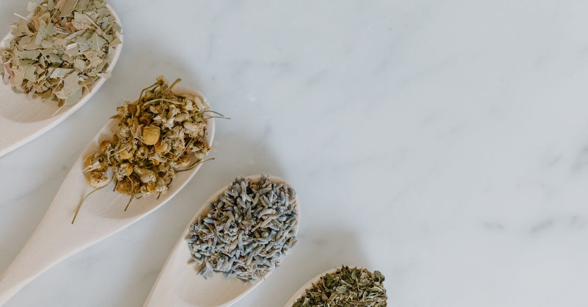 découvrez les bienfaits de la naturopathie, une approche holistique de la santé qui privilégie les remèdes naturels, l'alimentation équilibrée et un mode de vie sain pour prévenir les maladies et favoriser le bien-être.