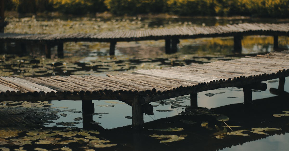 découvrez les bienfaits de la décompression neurovertébrale, une méthode innovante pour soulager les douleurs, améliorer la posture et favoriser la santé de votre colonne vertébrale. explorez nos traitements personnalisés et retrouvez un bien-être durable.