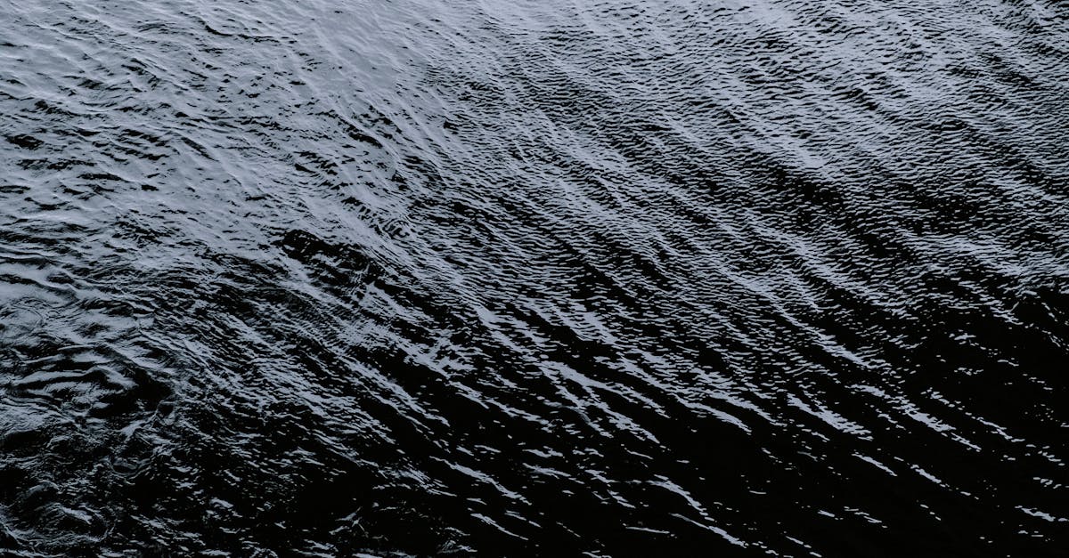 découvrez la thérapie par ondes de choc, une méthode non invasive qui soulage la douleur, favorise la guérison des tissus et améliore la performance physique. idéale pour traiter diverses maladies musculo-squelettiques.