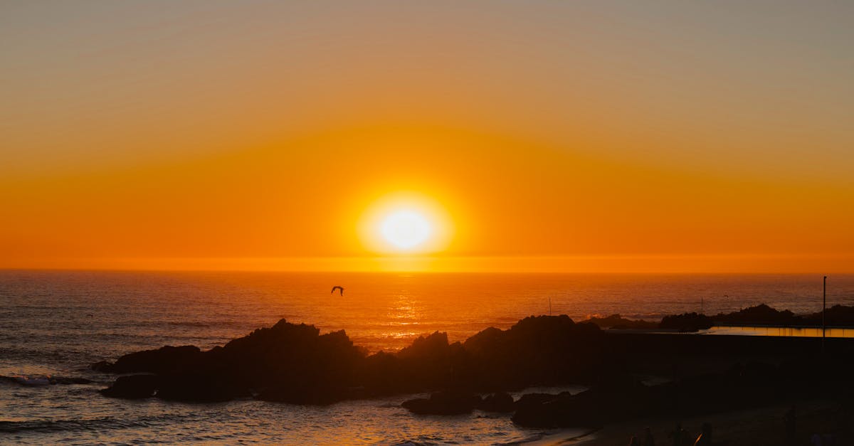 découvrez la thérapie par ondes de choc, une méthode innovante pour soulager la douleur, favoriser la guérison et améliorer la mobilité. idéale pour traiter diverses conditions musculo-squelettiques, cette approche non invasive offre des résultats prometteurs sans nécessiter de chirurgie.
