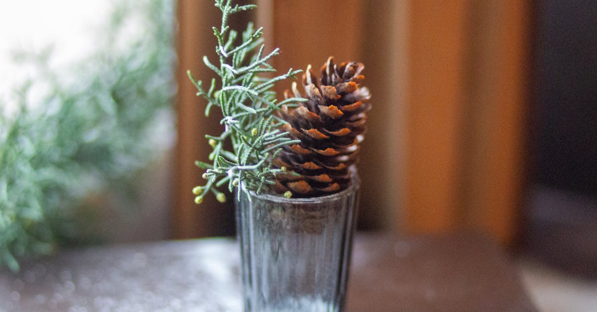 découvrez les bienfaits de la table de décompression spinale, un dispositif innovant conçu pour soulager les douleurs dorsales. améliorez votre bien-être et retrouvez une mobilité optimale grâce à cette solution efficace. idéale pour les personnes souffrant de hernies discales ou de tensions musculaires.