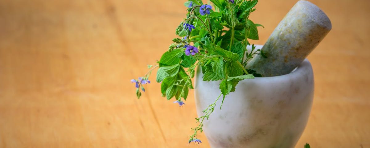 découvrez les bienfaits de la naturopathie pour améliorer votre santé et votre bien-être. apprenez à utiliser des approches naturelles et holistiques pour prévenir les maladies et favoriser un style de vie équilibré.