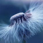 découvrez les bienfaits de la naturopathie, une approche naturelle et holistique pour améliorer votre santé. explorez des conseils, remèdes et techniques pour un bien-être durable.