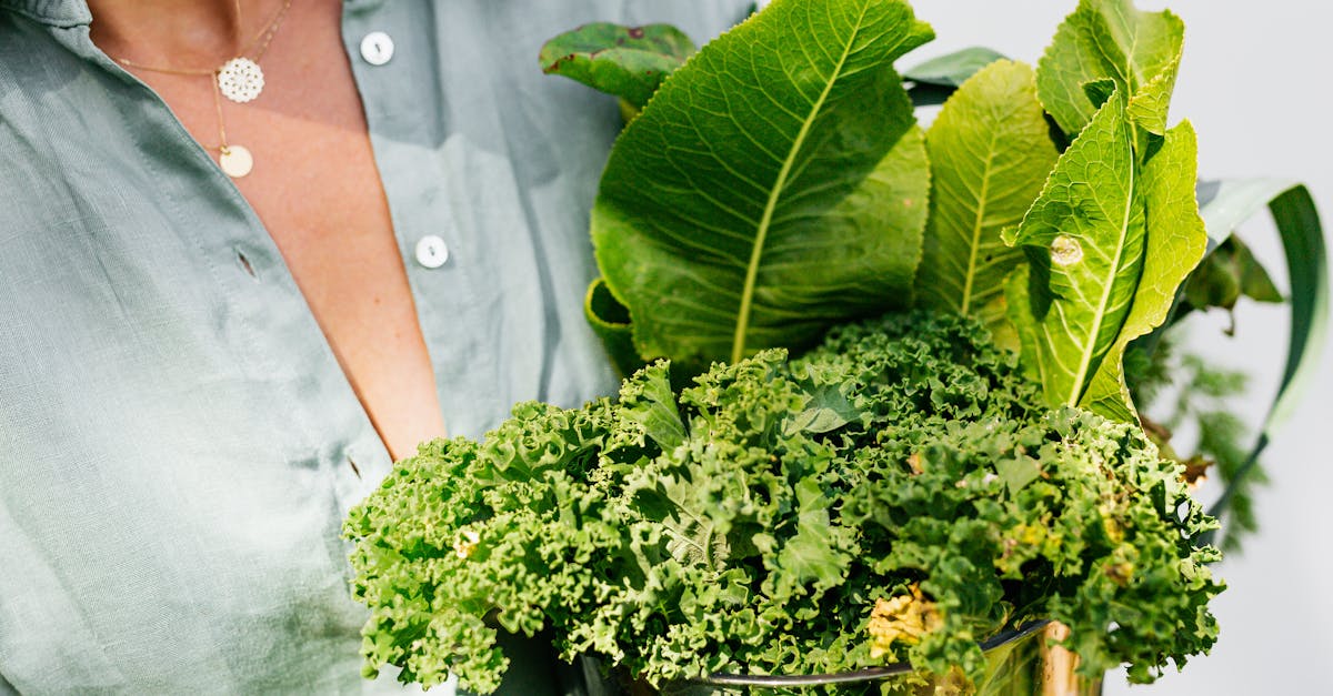 découvrez l'importance de l'équilibre acido-basique dans le corps humain, son rôle essentiel dans le maintien de la santé, et comment les perturbations peuvent affecter votre bien-être. apprenez les mécanismes de régulation et les meilleures pratiques pour préserver cet équilibre vital.