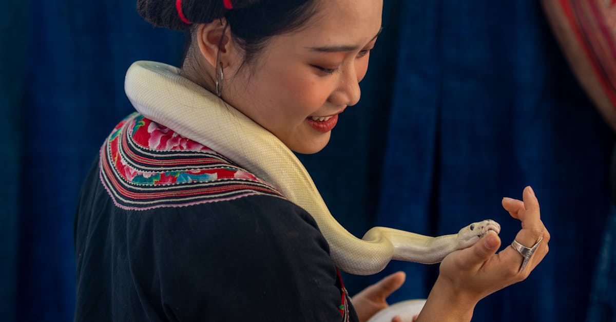 découvrez des protocoles personnalisés adaptés à vos besoins spécifiques. optimizez vos processus avec des solutions sur mesure pour garantir une efficacité maximale.