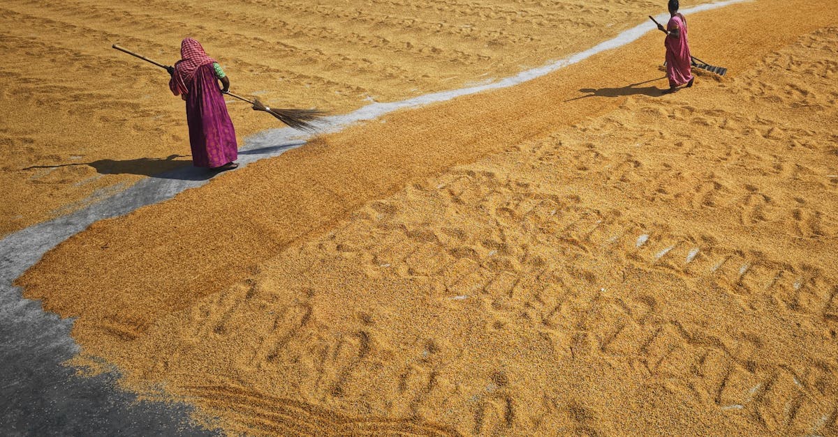 découvrez nos manuels techniques complets et détaillés, conçus pour vous guider à travers les meilleures pratiques et techniques dans divers domaines. parfaits pour les professionnels et les passionnés, ces manuels offrent des conseils pratiques, des astuces et des instructions claires pour vous aider à maîtriser vos compétences.