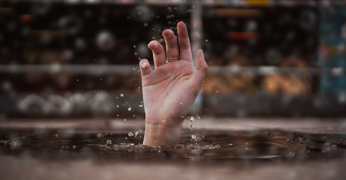 découvrez les approches naturopathiques pour améliorer votre bien-être. apprenez à utiliser des méthodes naturelles et holistiques pour favoriser votre santé, renforcer votre immunité et équilibrer votre corps. adoptez un mode de vie sain avec des conseils pratiques et des remèdes efficaces.