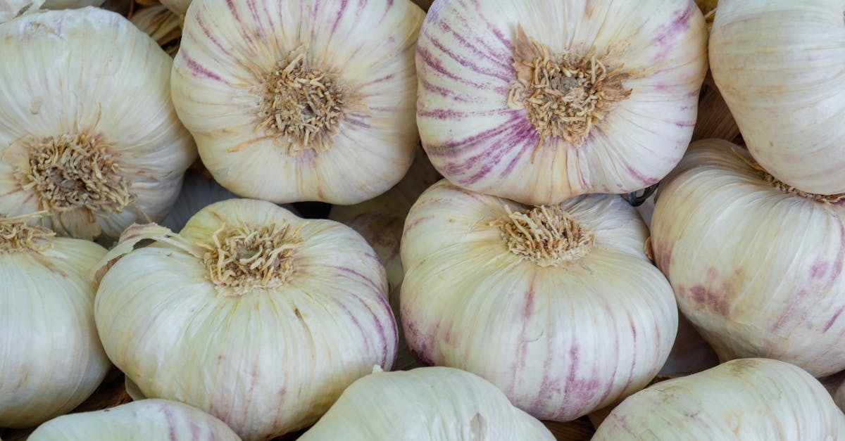 découvrez les approches naturopathiques, une méthode holistique pour améliorer votre santé et bien-être. explorez des techniques naturelles, des remèdes à base de plantes et des conseils personnalisés pour une vie équilibrée et en harmonie avec la nature.