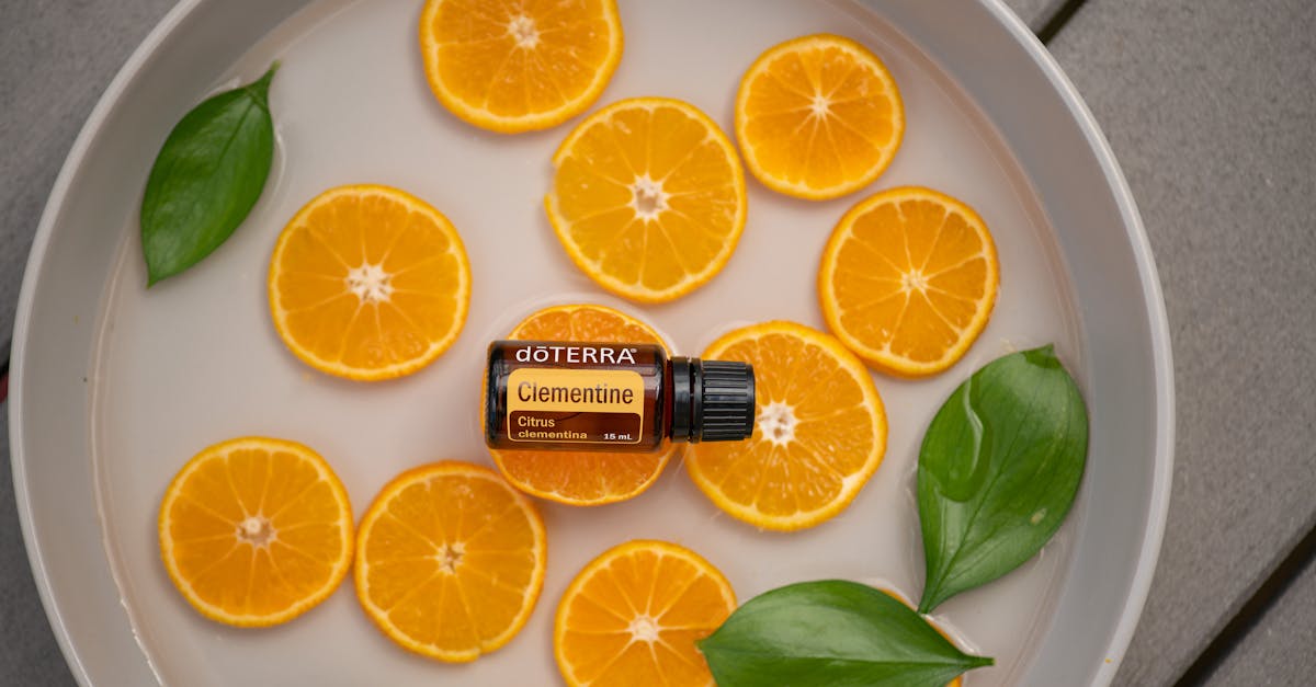 découvrez la naturopathie, une approche holistique de la santé qui réunit des techniques naturelles pour renforcer le bien-être, éviter les maladies et favoriser l'équilibre du corps et de l'esprit.