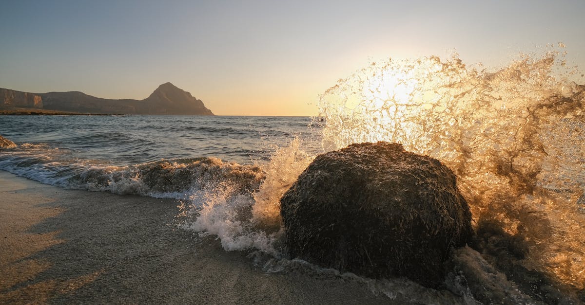 découvrez la thérapie par ondes de choc, une méthode innovante pour soulager la douleur et favoriser la guérison des tissus. efficace pour traiter diverses affections musculosquelettiques, cette technique non invasive stimule la circulation sanguine et accélère la régénération cellulaire. améliorez votre bien-être grâce à la thérapie par ondes de choc.