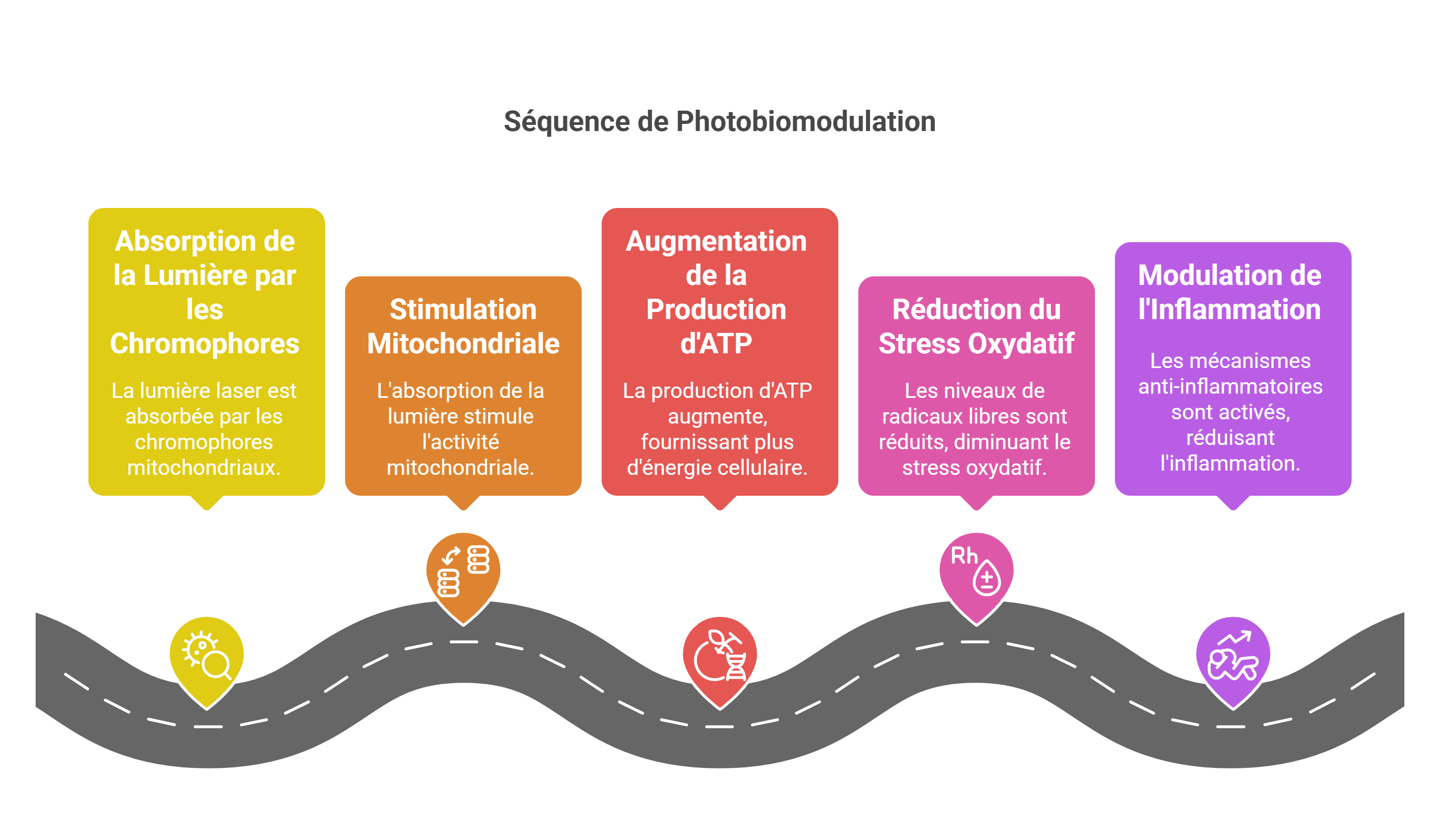 Introduction visual selection 54 - Dr Sylvain Desforges