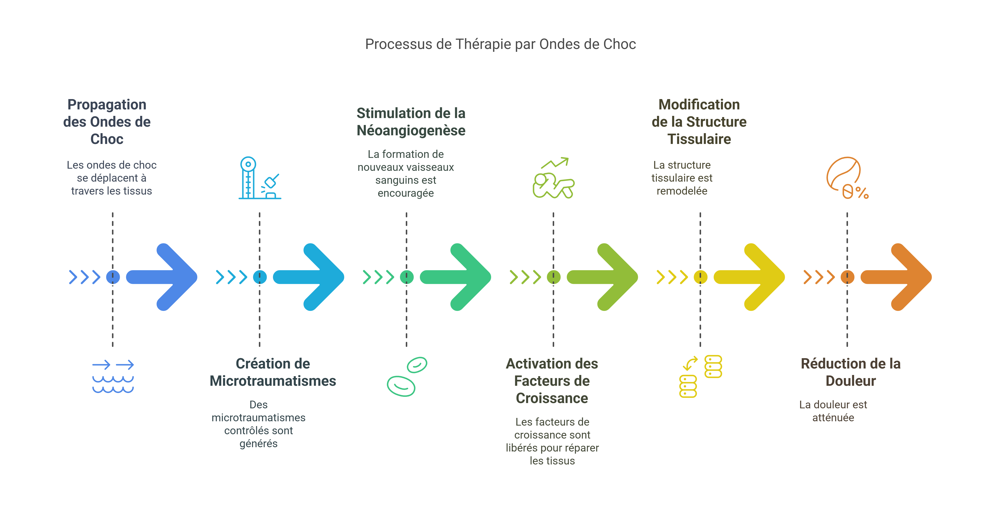 Introduction visual selection 63 - Dr Sylvain Desforges