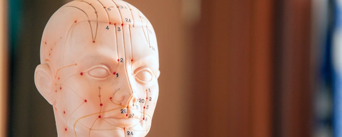 découvrez notre manuel technique complet, conçu pour vous guider à travers des procédures et des méthodes efficaces. parfait pour les professionnels et les passionnés, il offre des solutions pratiques et des conseils pour maîtriser vos compétences techniques.