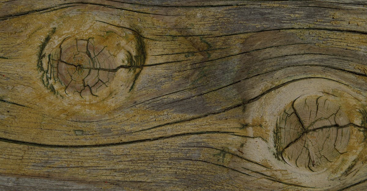 découvrez les approches naturopathiques pour améliorer votre bien-être naturel. explorez des méthodes holistiques et des conseils pratiques pour revitaliser votre santé, renforcer votre énergie et favoriser un esprit serein.