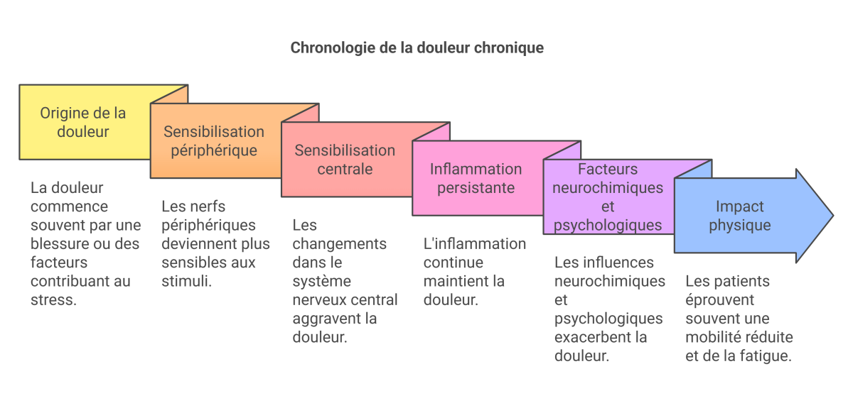 visual selection 23 - Dr Sylvain Desforges