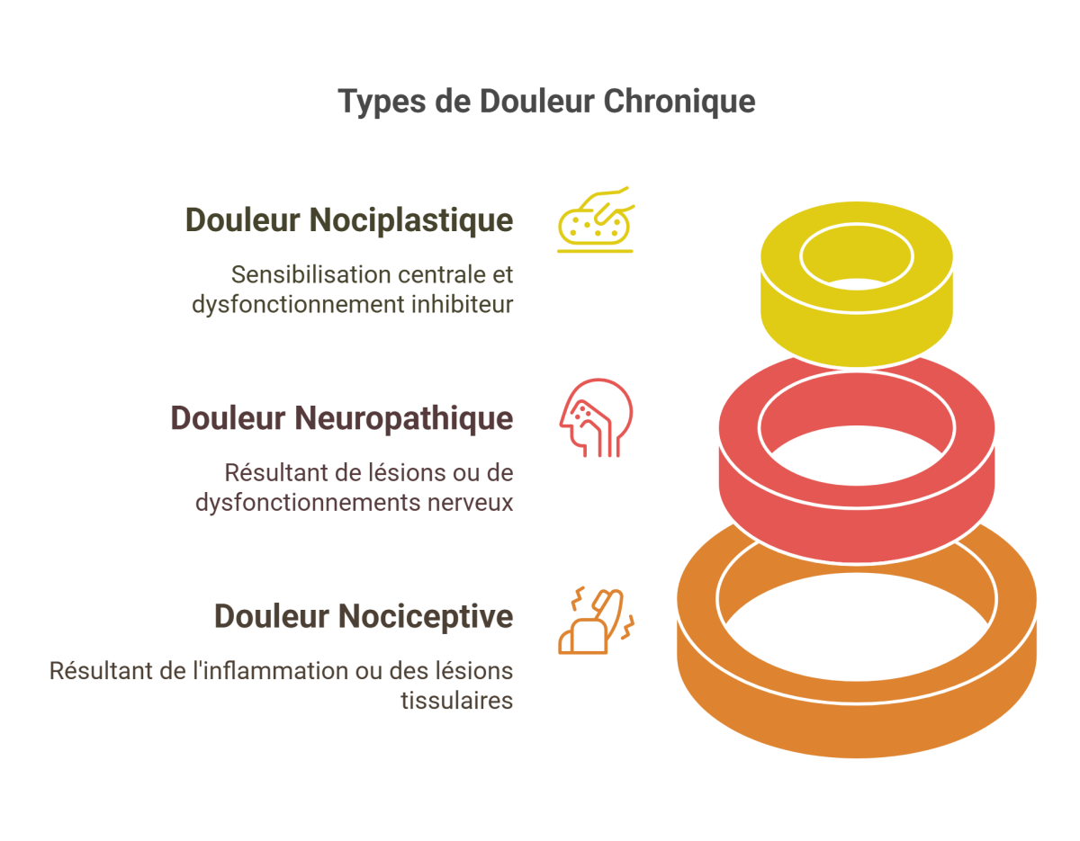 visual selection 26 - Dr Sylvain Desforges