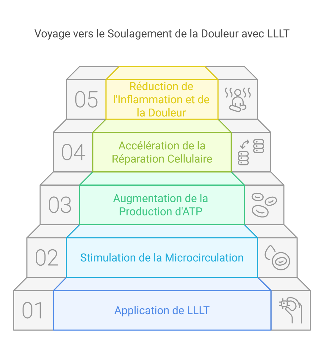 visual selection 34 - Dr Sylvain Desforges