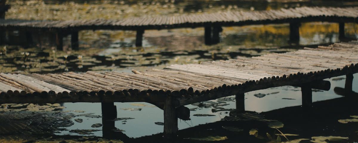 découvrez les bienfaits de la décompression neurovertébrale, une méthode innovante pour soulager les douleurs du dos et améliorer la mobilité. explorez cette approche naturelle et non invasive pour retrouver un bien-être optimal.