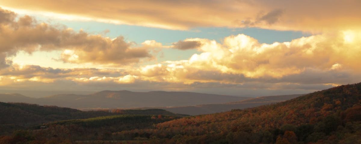 découvrez la décompression neurospinale, une approche innovante pour soulager les douleurs dorsales et cervicales. améliorez votre qualité de vie grâce à des traitements ciblés qui favorisent la guérison naturelle de la colonne vertébrale.