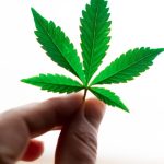 découvrez les bienfaits de la naturopathie, une approche holistique de la santé qui utilise des méthodes naturelles pour promouvoir le bien-être physique et mental. apprenez à équilibrer votre corps et votre esprit grâce à des conseils personnalisés, des remèdes naturels et des techniques de prévention adaptées à vos besoins.