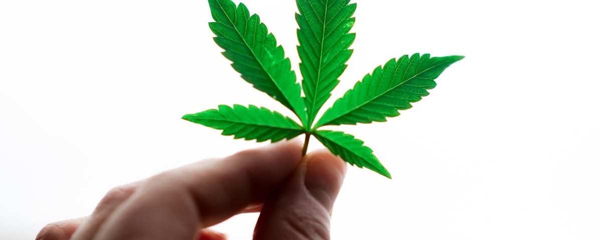 découvrez la naturopathie, une approche holistique de la santé qui utilise des méthodes naturelles pour prévenir et traiter les maladies. explorez les bienfaits des soins préventifs, de l'alimentation saine et des remèdes naturels pour améliorer votre bien-être.