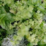 découvrez la naturopathie, une approche naturelle et holistique de la santé qui utilise des méthodes comme l'alimentation, les plantes et le bien-être mental pour promouvoir un équilibre durable. explorez les bienfaits d'une vie saine au naturel.