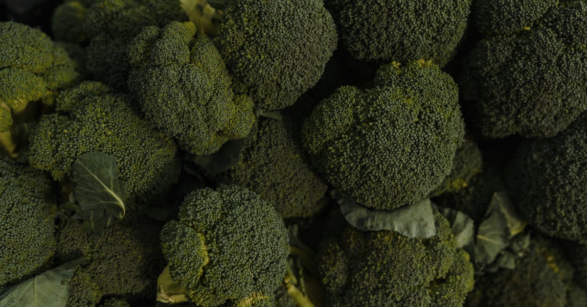 découvrez les bienfaits d'un régime anti-inflammatoire qui favorise la santé et le bien-être. apprenez à réduire l'inflammation grâce à des aliments naturels, riches en antioxydants et en nutriments, pour améliorer votre qualité de vie.