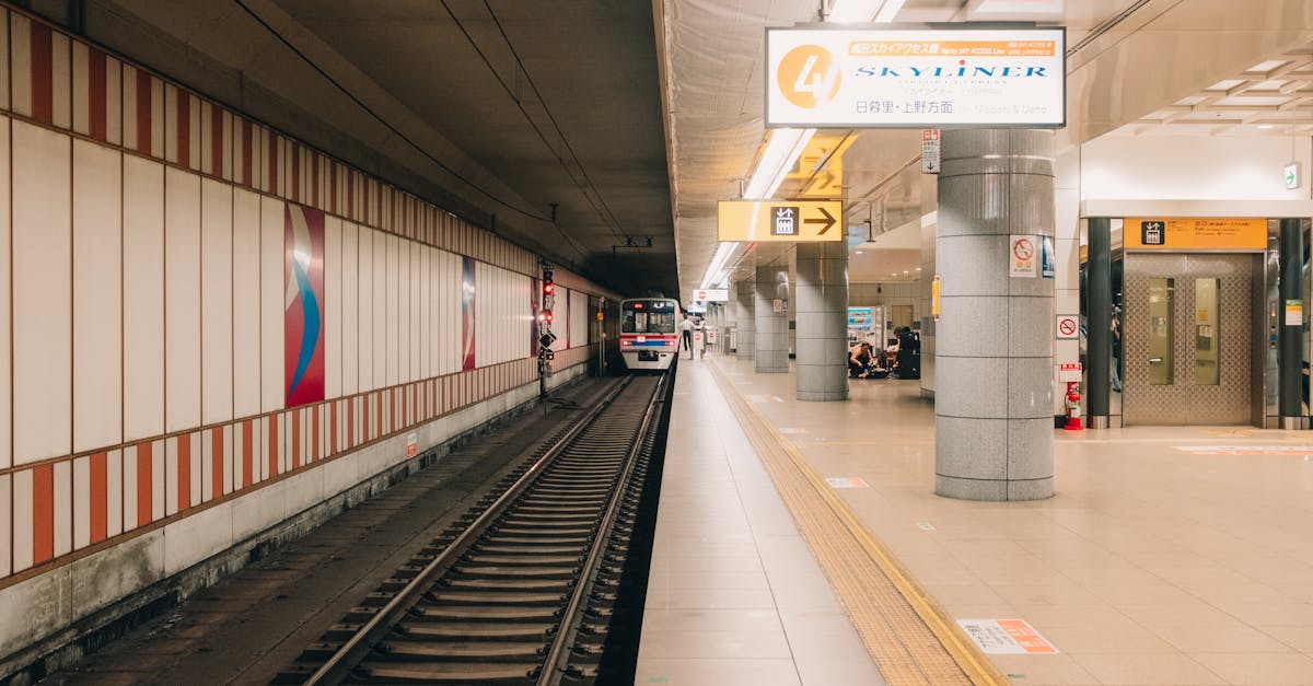 découvrez les approches ostéopathiques qui allient science et bien-être. apprenez comment ces techniques manuelles peuvent soulager des douleurs, améliorer la mobilité et favoriser une santé optimale. explorez les différentes méthodes utilisées par les ostéopathes pour traiter un large éventail de troubles physiques.