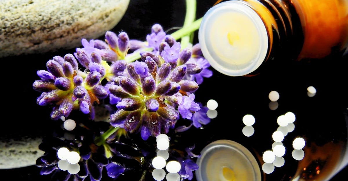 découvrez les bienfaits de la naturopathie, une approche holistique de la santé qui utilise des méthodes naturelles pour améliorer votre bien-être. apprenez à équilibrer votre corps et votre esprit grâce à des conseils nutritionnels, des remèdes à base de plantes et des techniques de relaxation.