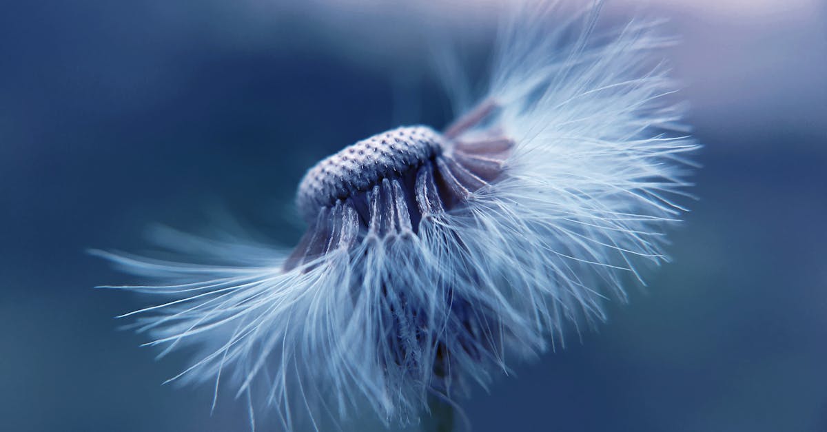 découvrez la naturopathie, une approcheholistique de la santé qui privilégie les méthodes naturelles pour prévenir et traiter les maladies. apprenez à équilibrer votre corps et votre esprit grâce à des conseils pratiques sur l'alimentation, les plantes médicinales et les techniques de bien-être.