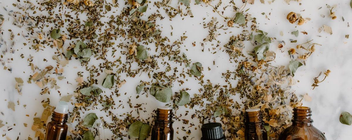 découvrez la naturopathie, une approche holistique de la santé qui utilise des méthodes naturelles pour promouvoir le bien-être. apprenez à équilibrer votre corps et votre esprit grâce à des conseils nutritionnels, des remèdes à base de plantes et des techniques de relaxation.