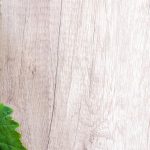 découvrez la naturopathie, une approche holistique de la santé qui favorise le bien-être par des méthodes naturelles. apprenez comment cette discipline traditionnelle peut vous aider à prévenir les maladies, à équilibrer votre corps et à renforcer votre vitalité au quotidien.