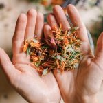 découvrez les bienfaits de la naturopathie, une approche holistique de la santé qui utilise des méthodes naturelles pour favoriser le bien-être physique et mental. apprenez comment des pratiques telles que l'alimentation équilibrée, les plantes médicinales et la gestion du stress peuvent transformer votre vie et vous aider à atteindre un équilibre durable.