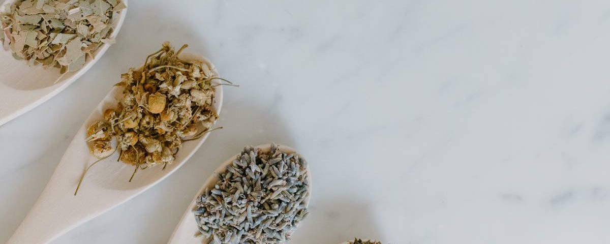 Les plantes médicinales pour stimuler l’immunité en naturopathie 30 découvrez les bienfaits des plantes médicinales, leurs propriétés curatives et comment les utiliser pour améliorer votre santé naturellement. plongez dans l'univers des remèdes ancestraux et apprenez à incorporer ces trésors de la nature dans votre quotidien.