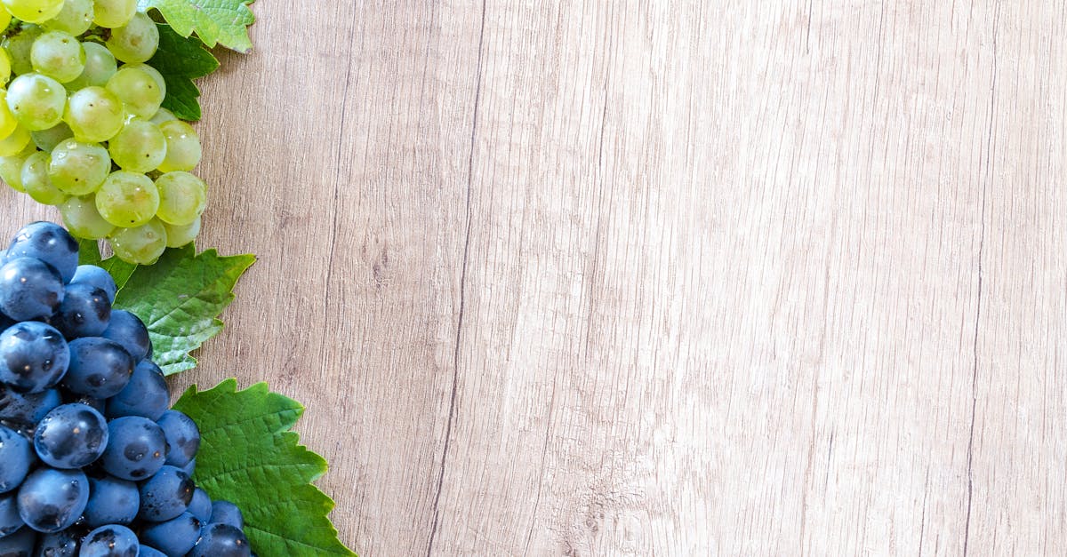 découvrez l'art de la naturopathie, une approche holistique de la santé qui privilégie des méthodes naturelles pour favoriser le bien-être physique et émotionnel. apprenez à rétablir l'équilibre de votre corps grâce à des conseils en nutrition, phytothérapie et techniques de relaxation.